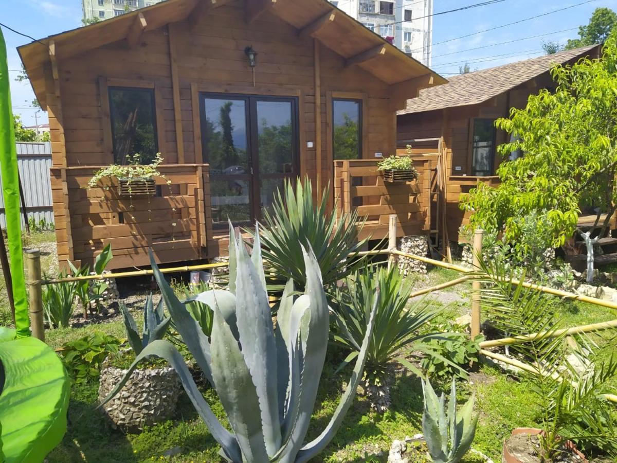 Guest House Lev 皮聪达 外观 照片