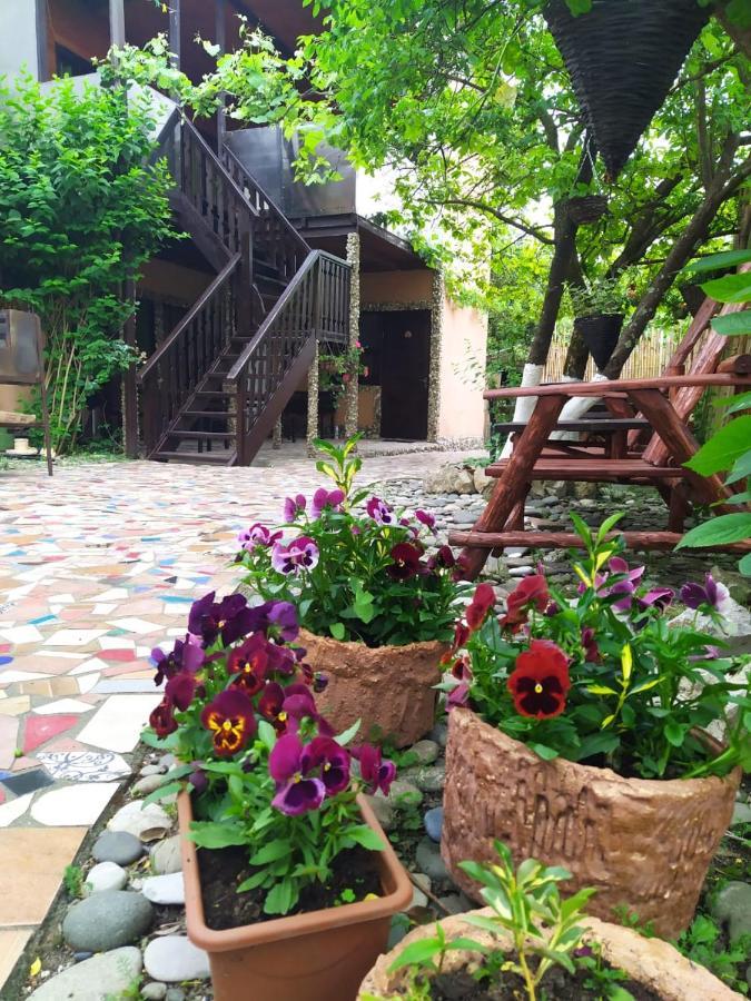 Guest House Lev 皮聪达 外观 照片