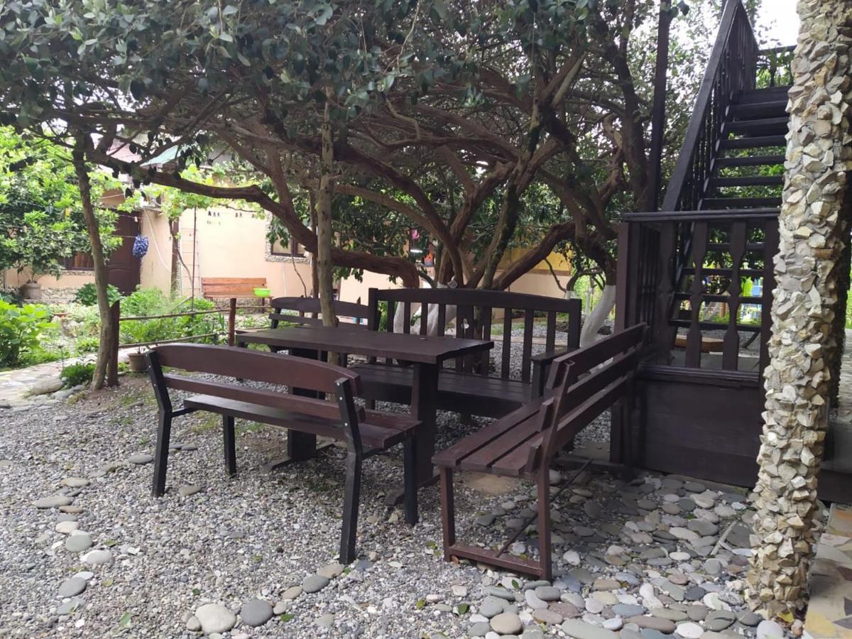 Guest House Lev 皮聪达 外观 照片