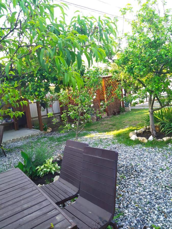 Guest House Lev 皮聪达 外观 照片
